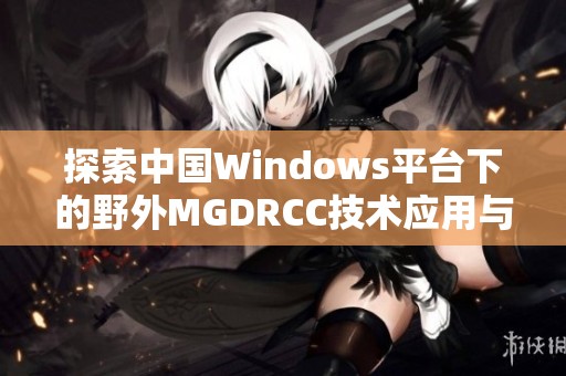 探索中国Windows平台下的野外MGDRCC技术应用与发展