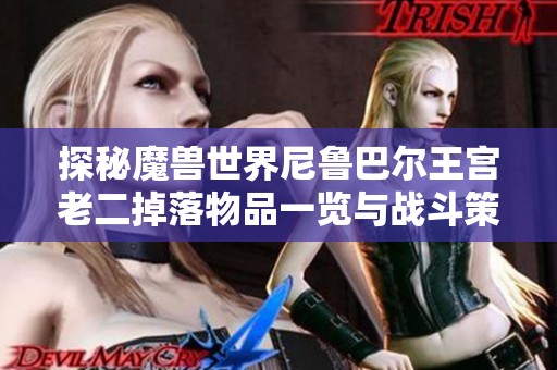 探秘魔兽世界尼鲁巴尔王宫老二掉落物品一览与战斗策略解析