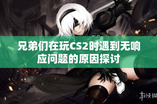 兄弟们在玩CS2时遇到无响应问题的原因探讨