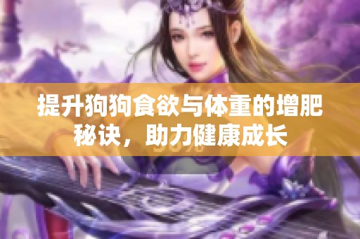 提升狗狗食欲与体重的增肥秘诀，助力健康成长