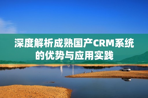 深度解析成熟国产CRM系统的优势与应用实践