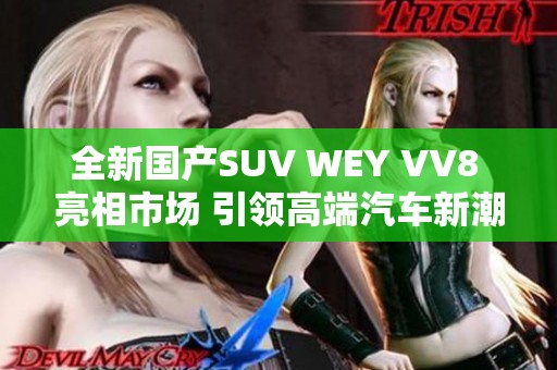 全新国产SUV WEY VV8 亮相市场 引领高端汽车新潮流