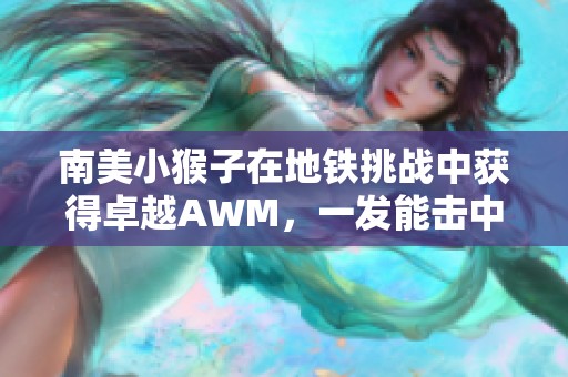 南美小猴子在地铁挑战中获得卓越AWM，一发能击中七级头吗