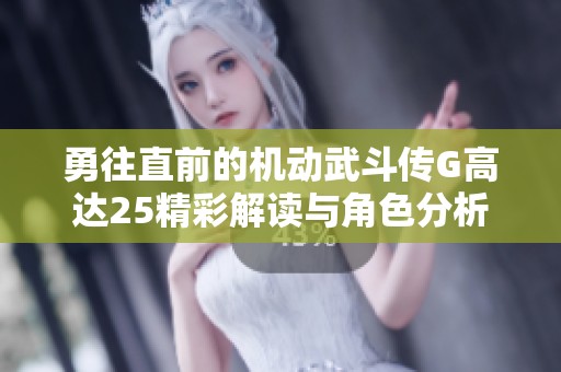 勇往直前的机动武斗传G高达25精彩解读与角色分析