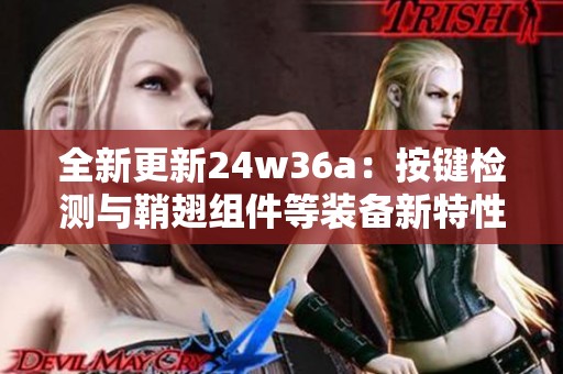 全新更新24w36a：按键检测与鞘翅组件等装备新特性解析