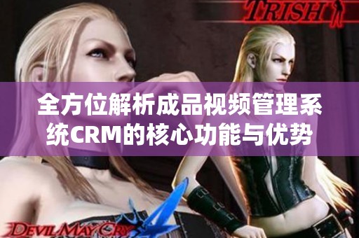 全方位解析成品视频管理系统CRM的核心功能与优势