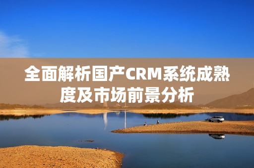 全面解析国产CRM系统成熟度及市场前景分析