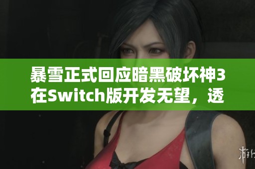 暴雪正式回应暗黑破坏神3在Switch版开发无望，透露新周边计划