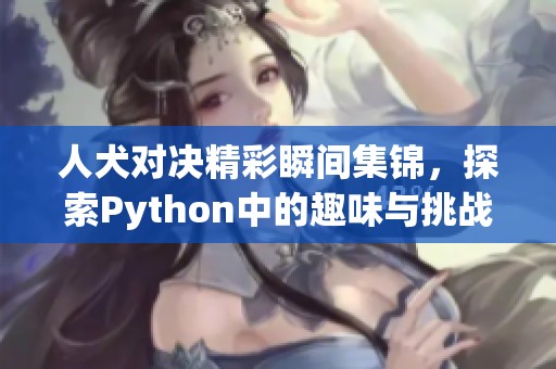 人犬对决精彩瞬间集锦，探索Python中的趣味与挑战