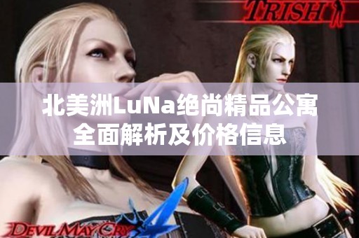 北美洲LuNa绝尚精品公寓全面解析及价格信息