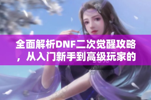 全面解析DNF二次觉醒攻略，从入门新手到高级玩家的成长之路