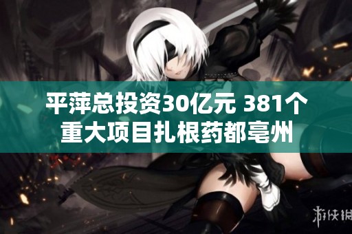 平萍总投资30亿元 381个重大项目扎根药都亳州