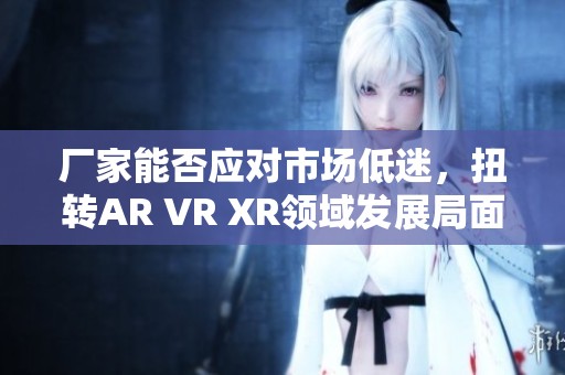 厂家能否应对市场低迷，扭转AR VR XR领域发展局面