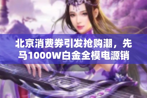 北京消费券引发抢购潮，先马1000W白金全模电源销售现象揭秘