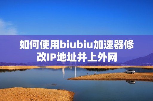 如何使用biubiu加速器修改IP地址并上外网