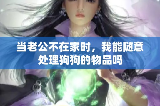 当老公不在家时，我能随意处理狗狗的物品吗